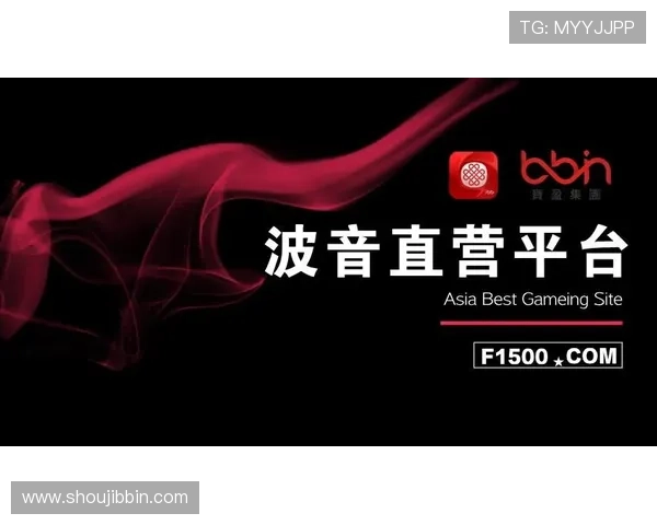 bbin直营网被审核的最新动态及应对措施分析