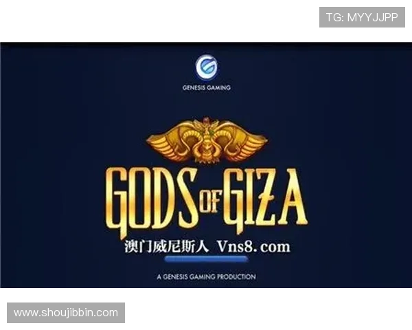 BBIN国际官网入口的安全保障措施与用户隐私保护策略分析