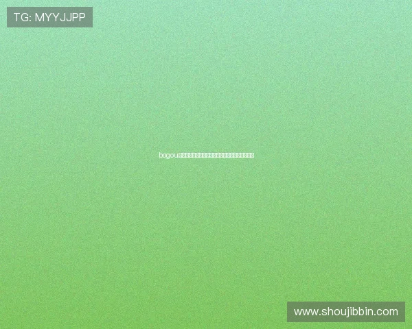bogou电子设备在网络游戏中的应用优势与性能分析详解